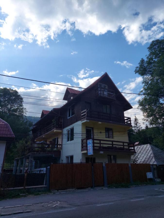 Pensiune Casa Barcaru Azuga Εξωτερικό φωτογραφία